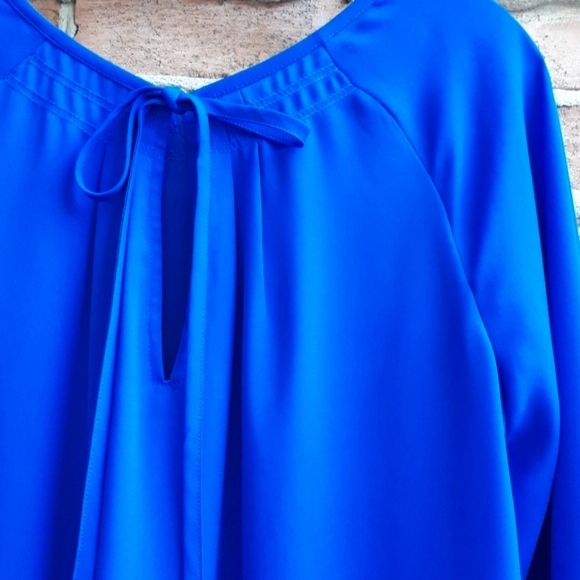 BR Pleated Raglan Blouse - Picture 5 of 8